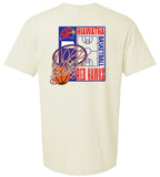 Redhawk Basketball Design 7