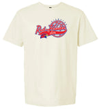 Redhawk Basketball Design 10