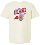Redhawk Basketball Design 15