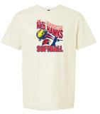 Redhawk Softball 5